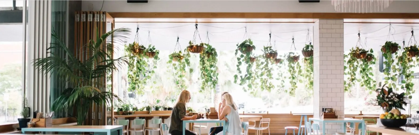 Australian Venue Co.